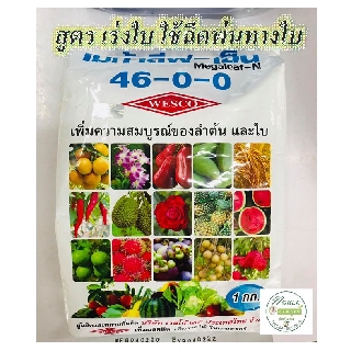 ปุ๋ยเกล็ด เวสโก้ สูตร 46-0-0 เร่งใบ เพิ่มความสมบูรณ์ของลำต้น และใบ ขนาด 1 กิโลกรัม