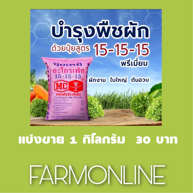 ปุ๋ย15-15-15ตราหัววัว แบ่งขาย