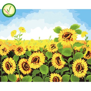 EP-HOME DIY ภาพวาดสีน้ำมัน ภาพระบายสีตามตัวเลข Sunflower plant sunflower unframe