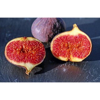 Figs ต้นมะเดื่อฝรั่ง พันธุ์ Brooke Red อร่อย  จัดส่งพร้อมกระถาง 6 นิ้ว ลำต้นสูง 45-50 ซม