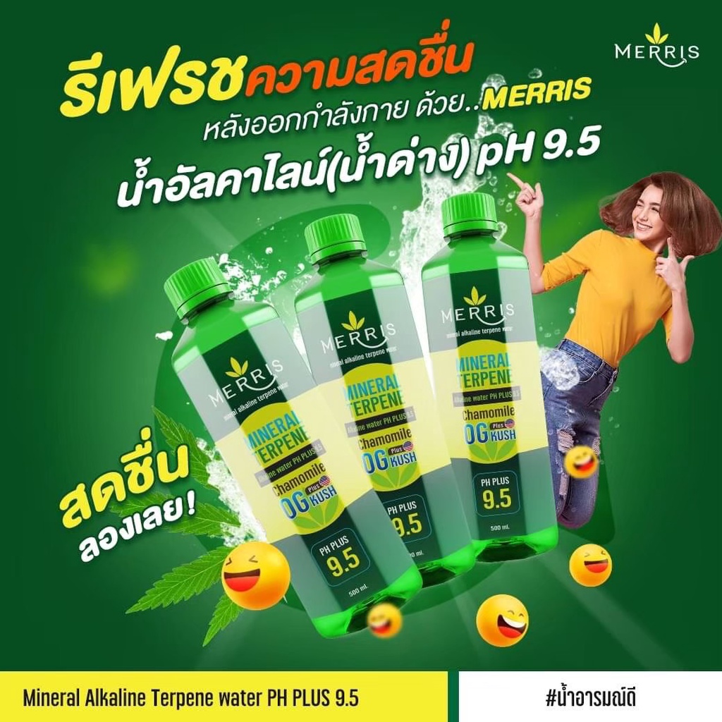 Merris เมอริส เครื่องดื่มน้ำอัลคาไลน์ Alkaline น้ำด่าง pH9.5 1ลัง มี 24ขวด