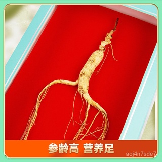 Changbai Mountain Ginseng Mountain Ginseng Wine Ginseng Gift Box12ปีภาคตะวันออกเฉียงเหนือ林下参移山参ของขวัญแห้งโสม MOVJ