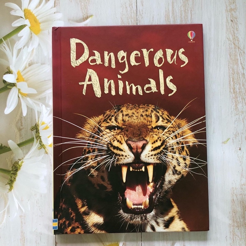 #Encyclopediaforkids #Encyclopediaforchildren  หนังสือความรู้ สำหรับเด็ก USBORNE BEGINNERS  ▪️Danger