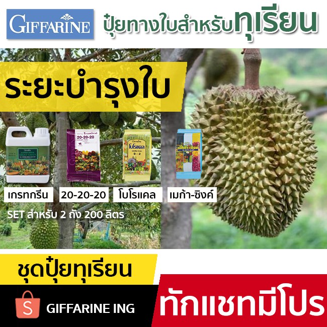 ชุดปุ๋ยทุเรียน กิฟฟารีน Giffarine ปุ๋ยเกล็ด ปุ๋ยทางใบ