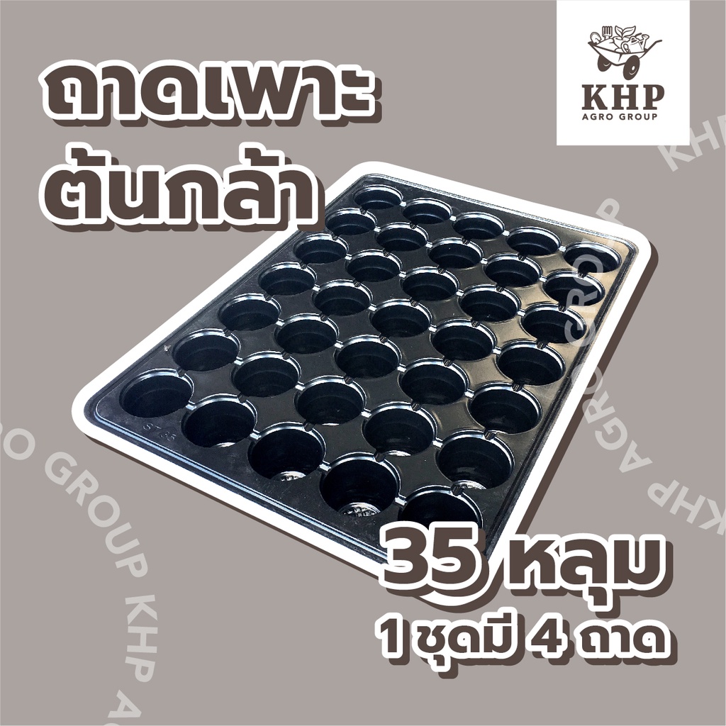 <4 ชิ้น>🔥ถูกที่สุด🔥*เกรดA* ถาดเพาะกล้า 35 หลุม หนา ใหญ่ มีขอบ แข็งแรง *ใช้ซ้ำได้หลายรอบ* ถาดเพาะ ชำต้นไม้