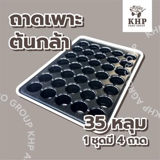 <4 ชิ้น> ถาดเพาะกล้า 104 หลุม ,35 ,60 ,105 ,200 หลุม ถาดเพาะชำ ถาดเพาะเมล็ด ถาดเพาะ มีขอบ แข็งแรง