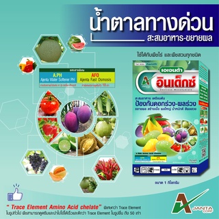 น้ำตาลทางด่วน เอเจนต้า สะสมอาหาร ฟื้นต้นโทรม พืชใช้ได้ทันที