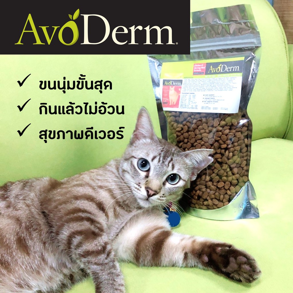 AvoDerm อาหารแมวชนิดเม็ด รสเนื้อไก่และเนื้อปลาเฮอร์ริ่ง สำหรับแมวโตทุกสายพันธุ์ สูตรลดขนร่วง 500 G.