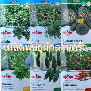 เมล็ดพันธุ์ผักสวนครัว (ซื้อ 5 ซอง แถมฟรีปุ๋ยบำรุงต้นเร่งใบราก)