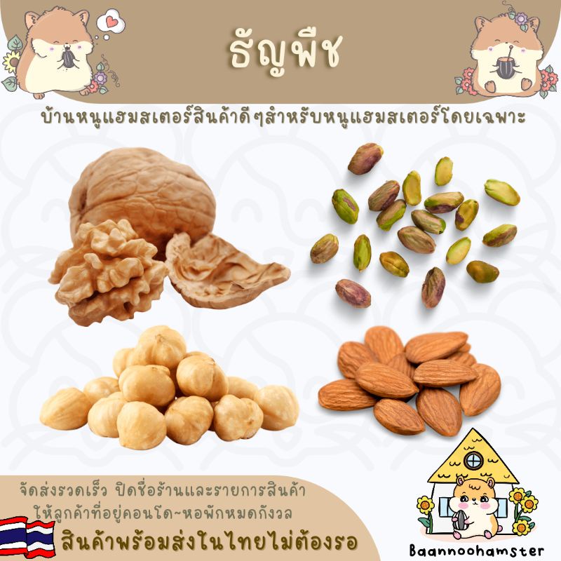 ธัญพืชดิบแกะเปลือกสำหรับสัตว์ฟันแทะชนิดต่างๆ