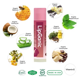 Lipganic Plum Organic Lip Balm พลัม ทรีทเมนต์ (4.25g)