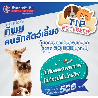 ประกันสัตว์เลี้ยง ทิพยประกันภัย