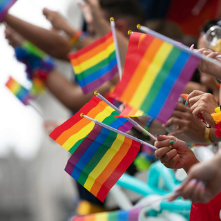 ธงสีรุ้ง ธงสายรุ้ง ธงมือถือ ธง ธงหลากสี ก้านพลาสติก LGBT PRIDE Rainbow Hand Waver Flag with plastic straw holder