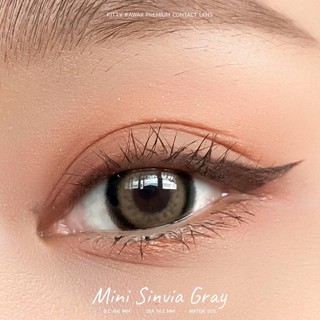 Mini sinvia gray พร้อมส่งสายตาปกติและค่าสายตา (kittykawaii)