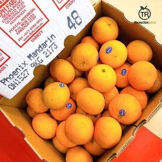 สินค้าเข้าใหม่ 7/9/66‼️ Mandarin Orange 🍊🦘ส้มแมนดารินนำเข้าจากประเทศออสเตรเลีย🛳