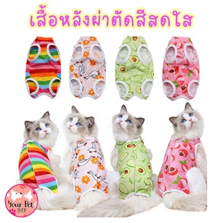 เสื้อหลังผ่าตัดสีสันสดใส ทำหมันแมวตัวเมีย Colorful Pet Recovery Suit ป้องกันเลียแผล