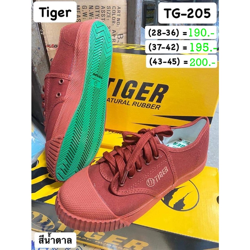 D TG205 รองผ้าใบนักเรียนแบบผู้เชือก ไทเกอร์ TIGER 205 สีน้ำตาล size 28-45