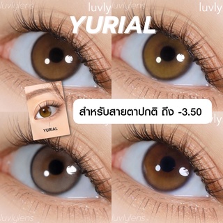 พร้อมส่ง Yurial - Idollens คอนแทคเลนส์รายปี (สายตาปกติ ถึง -3.50)