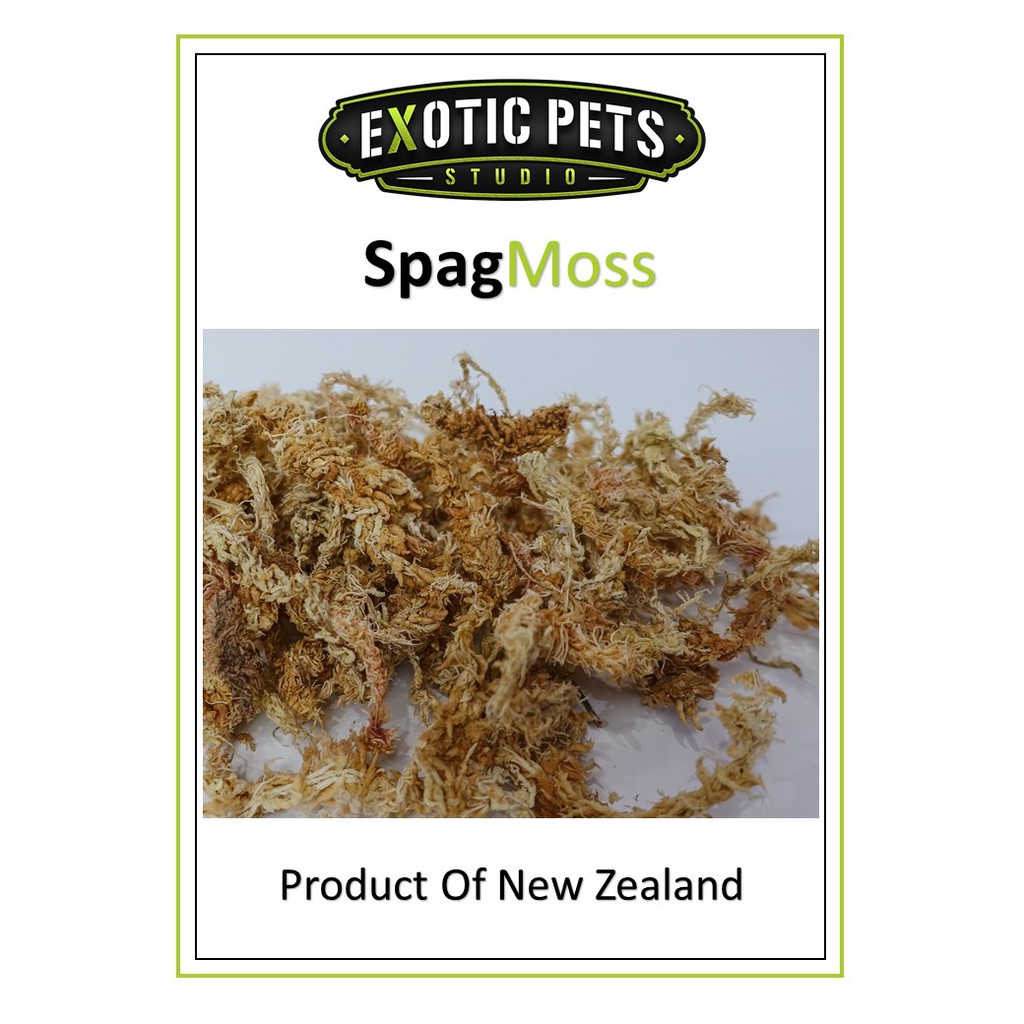 Spagmoss Sphagnum Moss New Zealand สแฟกนั่มมอส นำเข้าจากนิวซีแลนด์ - รูปที่ 5
