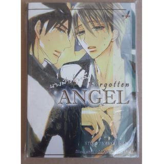 [พร้อมส่ง] Forgotten Angel นางฟ้าที่ถูกลืม