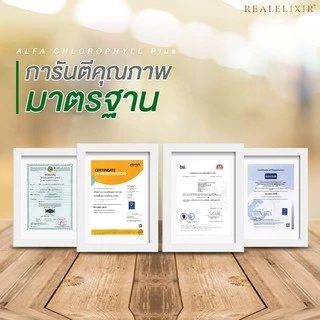 Real Elixir Alfa Chlorophyll Plus ( คลอโรฟิลล์ )