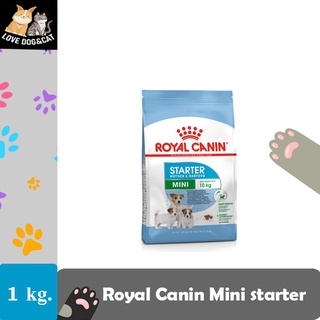 Royal canin mini starter อาหารลูกสุนัข พันธุ์เล็ก แม่สุนัขตั้งท้อง