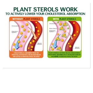 🔥เก็บโค้ดลดเพิ่ม💰🔥‼️ฉลากใหม่‼️ถูกที่สุด➕เก็บโค้ดลดเพิ่ม💰🔥✅PLANT STEROLS ‼️ลดไขมันเลว ลดการอุดตันของหลอดเลือด ‼️