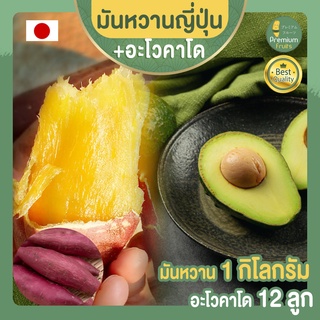 มันหวานญี่ปุ่น เบนิฮารุกะ  1 กก.  + อะโวคาโด จำนวน 12 ลูก AVOCADO HASS AUSTRALIA มันญี่ปุ่น  อะโวคาโด้ อะโวคาโดสด