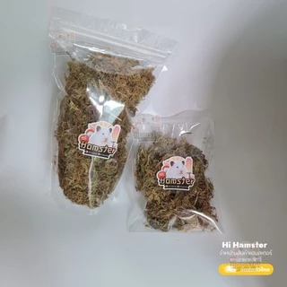 Niteangel หญ้า มอส แห้ง moss ป่ามอสสำหรับหนูแฮมสเตอร์ ทำรัง จัดสวนแนวธรรมชาติ