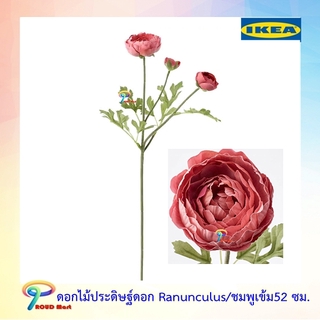 IKEA ต้นไม้ปลอม ไม้ประดิษฐ์ ดอกไม้ประดิษฐ์ ดอกไม้ปลอม ดอก Ranunculus/ชมพูเข้ม52 ซม.