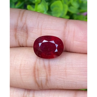 พลอย ทับทิม (Ruby Sapphire) 10.00 กะรัต (Cts.) พลอยแท้ อัญมณีมงคลประจําวันเกิด