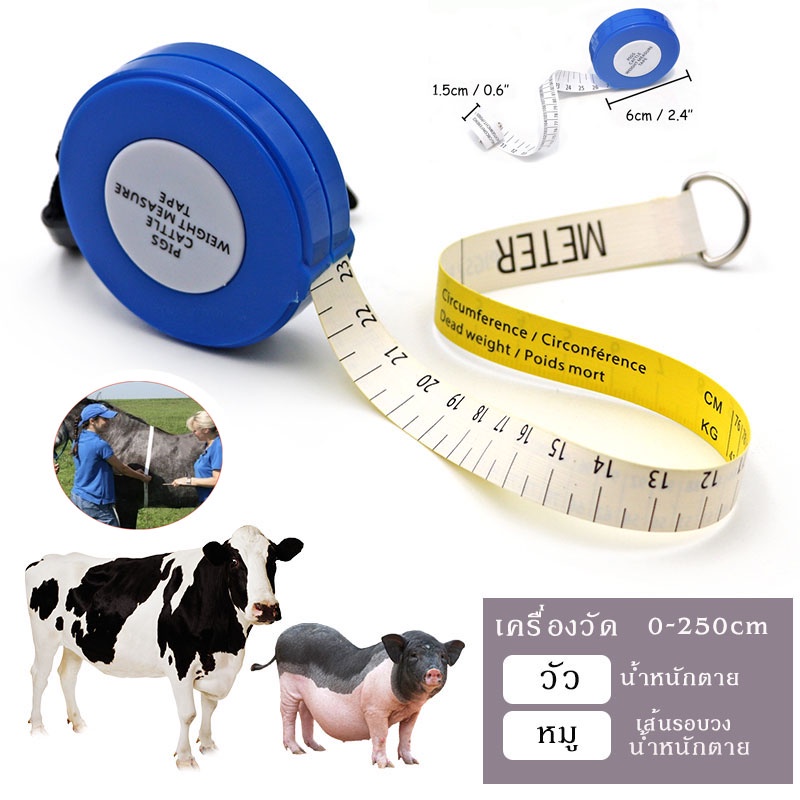 สายวัดน้ำหนักสัตว์ สายวัดน้ำหนักวัว สายน้ำหนักหมู วัดน้ำหนักโค สุกร