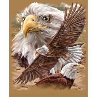 Diy Eagle Diamond Painting/Cross Stitch/Bedroom Living Room/Wall Stickers Wall Painting Decoration