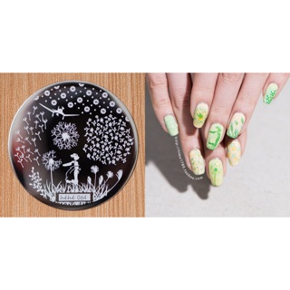 Nail art plate (hehe-64) แผ่นพิมพ์ลายเล็บ