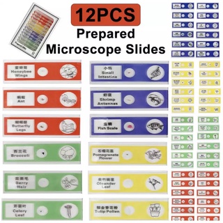 พร้อมส่ง 12 ชิ้น/เซ็ตพลาสติกสไลด์กล้องจุลทรรศน์ชีวภาพตัวอย่า…