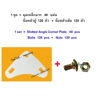 มุมเหล็กฉากหนา 1.3 มม. (40 แผ่น) +  สกรูน็อตชุบซิงค์ 1/4" x 1/2" (120 คู่) / ใช้ยึดเหล็กฉากเจาะรูหน้ากว้าง 1.5"x1.5"-ขาว