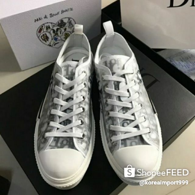 dior x kaws oblique
