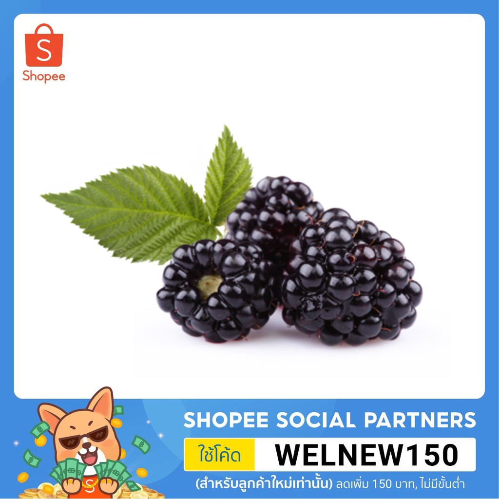 เมล็ดแบลคเบอรี่ ซองละ 30เมล็ด ราคา60บาท