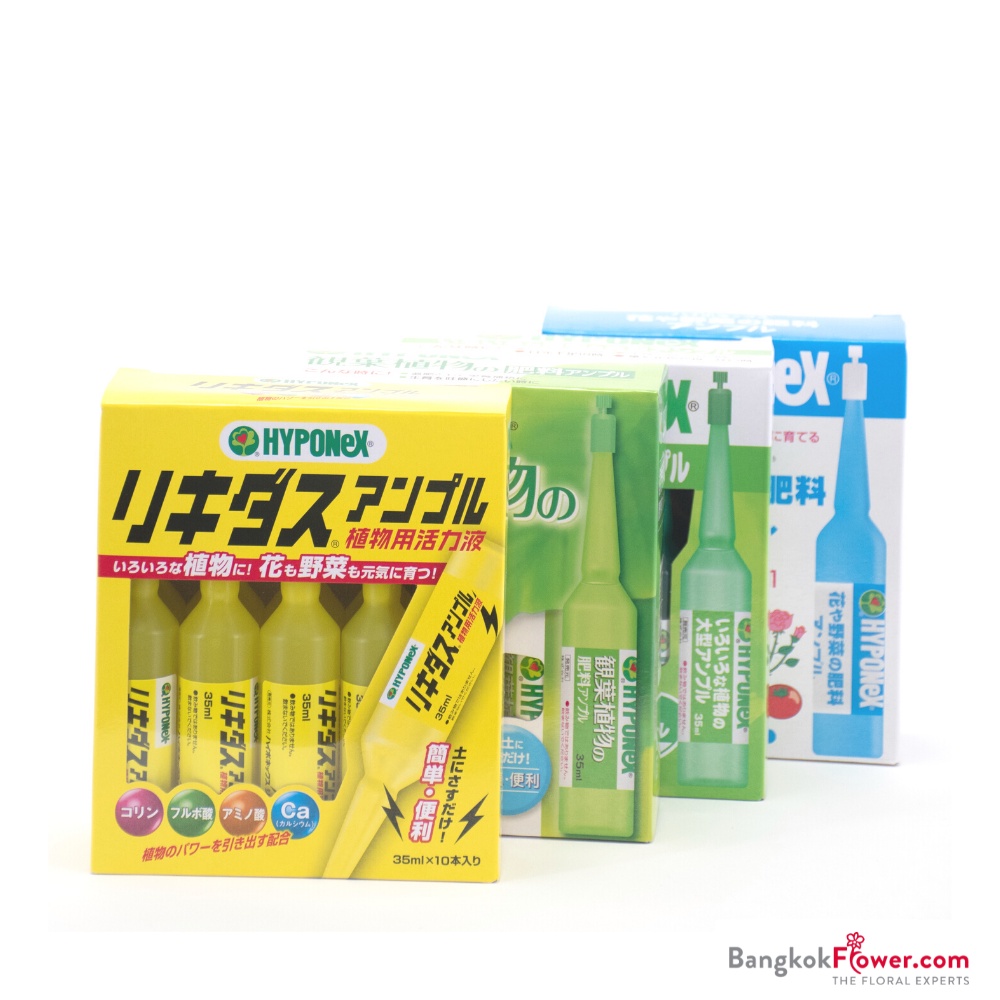 HYPONEX AMPOULE ปุ๋ยน้ำนำเข้าจากญี่ปุ่น ผลิตภัณฑ์ให้ความสมบูรณ์แก่ต้นไม้ ของแท้ ***รบกวนสอบถามใน chat ก่อนกดสั่งซือ***