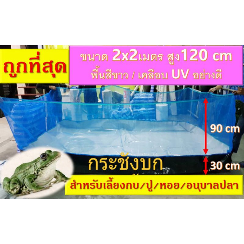 กระชังเลี้ยงกบขนาด 2 x 1.5 เมตร - 7 x 2.5 เมตร ยกขอบสูง 140 cm,กระชังบกเลี้ยงกุ้ง,หอย,ปู,ปลา