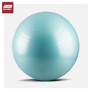 ลูกบอลโยคะ ฟิตเนต บอลออกกำลังกาย 65 ซม. Yoga Ball แบบทึบและแบบเงา