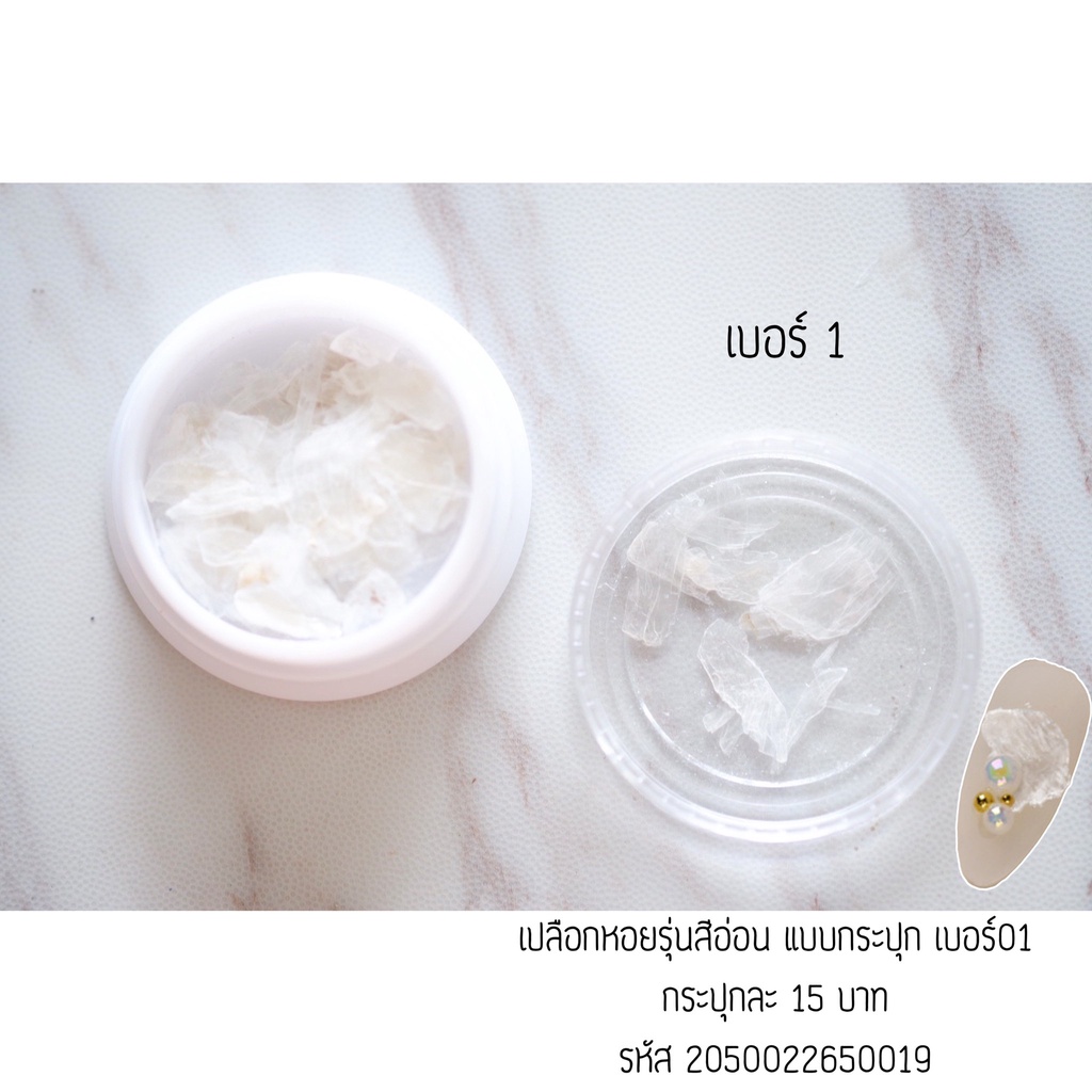 ( มี 5สี )เปลือกหอยรุ่นสีอ่อน แบบกระปุก