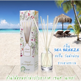 น้ำหอมไม้ปักอโรม่า scent nature กลิ่น Sea Breeze