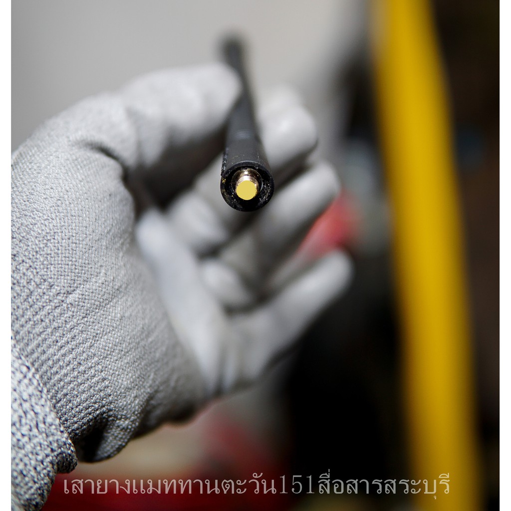 รูปภาพ 8