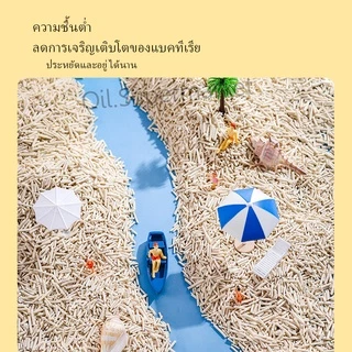 🌻😺 เม็ดคาร์บอนดับกลิ่น ที่ดับกลิ่น เม็ดดับกลิ่น ดับกลิ่นทรายแมว ที่ดับกลิ่นทรายแมว😺🌻