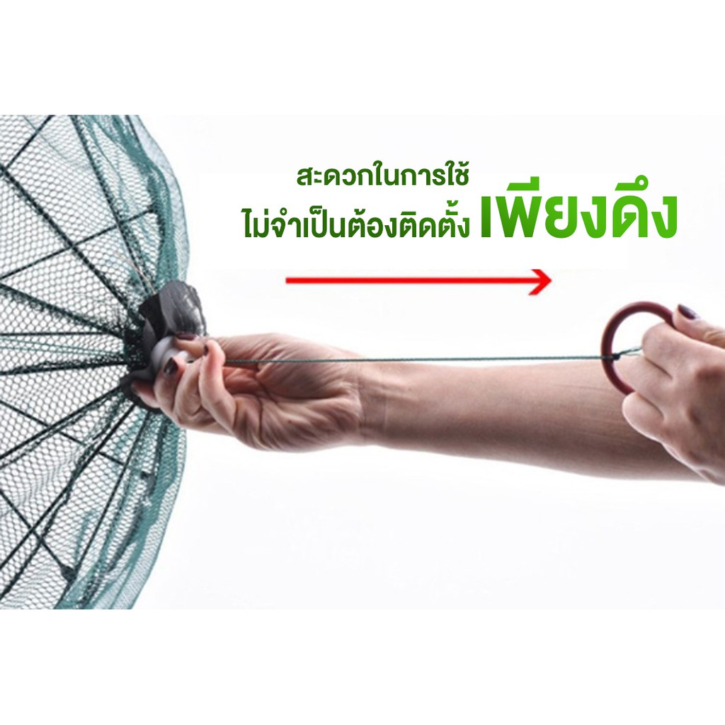 doti มุ้งดักปลา ดักกุ้ง ได้ปลาแน่นอน พับเก็บง่าย พกพาสะดวก Finishing Net กระชังปลา - รูปที่ 6