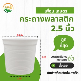 กระถางต้นไม้ กระถาง กระถางต้นไม้พลาสติก ขนาด 2.5 3 4 5 6 8 9 10 นิ้ว สีขาว