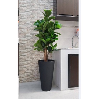 กระถางโมเดิร์น สไตล์มินิมอล ทรงกลม และทรงสี่เหลี่ยม 2 ชั้น พ…