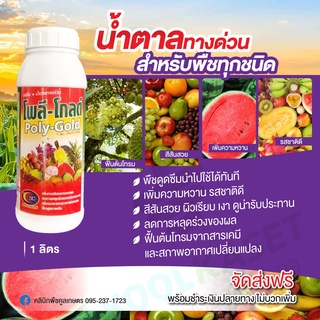 โพลีโกลด์ 1ลิตร ช่วยลดการแย่งอาหารช่วงแตกใบอ่อน ติดดอกออกผล  น้ำหนักดี หัวแน่น ขยายผล สีเข้มสวยขึ้น คูลเกษตร KK325