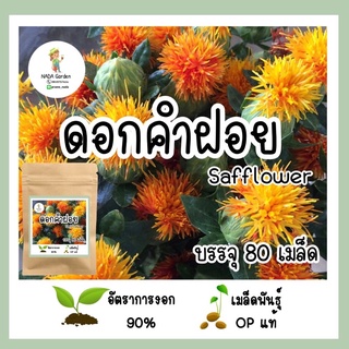 เมล็ดพันธุ์ ดอกคำฝอย 80 เมล็ด อัตราการงอกสูง เมล็ดพันธุ์ op แท้